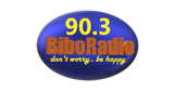 Bibo-Radio