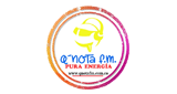 Q-Nota-FM