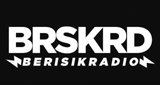 Berisik-Radio