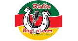 Radio-Bagual