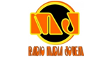 Rádio-Mídia-Jovem