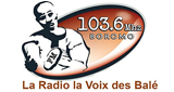 Radio-la-Voix-des-Balé