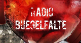 Radio-Buegelfalte