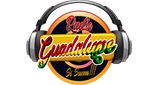 Radio-Guadalupe