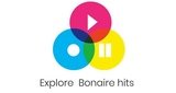 Explore-Bonaire-Hits