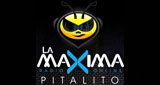 La-Maxima-Pitalito