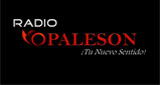 Radio-VOPALESON