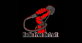 Radio-Free-Detroit
