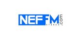 NEF-FM-stereo
