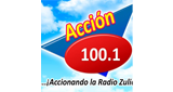 Accion 100.1 fm