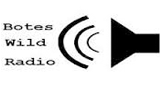 Bote's-Mobile-Feed