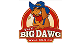 The-Big-Dawg