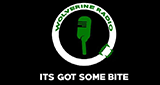 Wolverine Radio