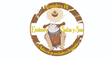 Emisora-Salsa-y-Son-Atmósfera-18